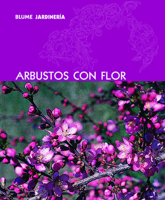 Arbustos Con Flor