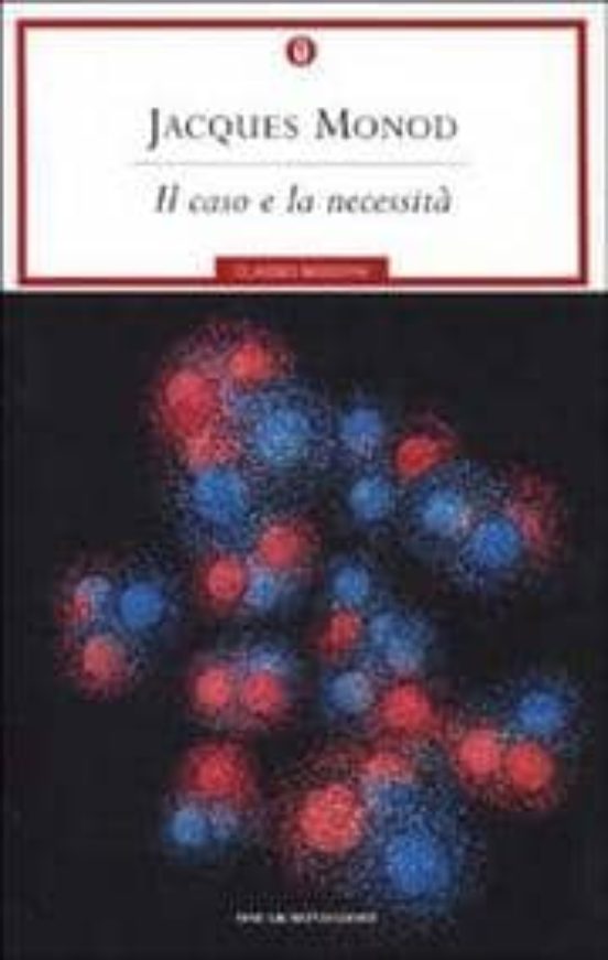 Il Caso E La Necessita