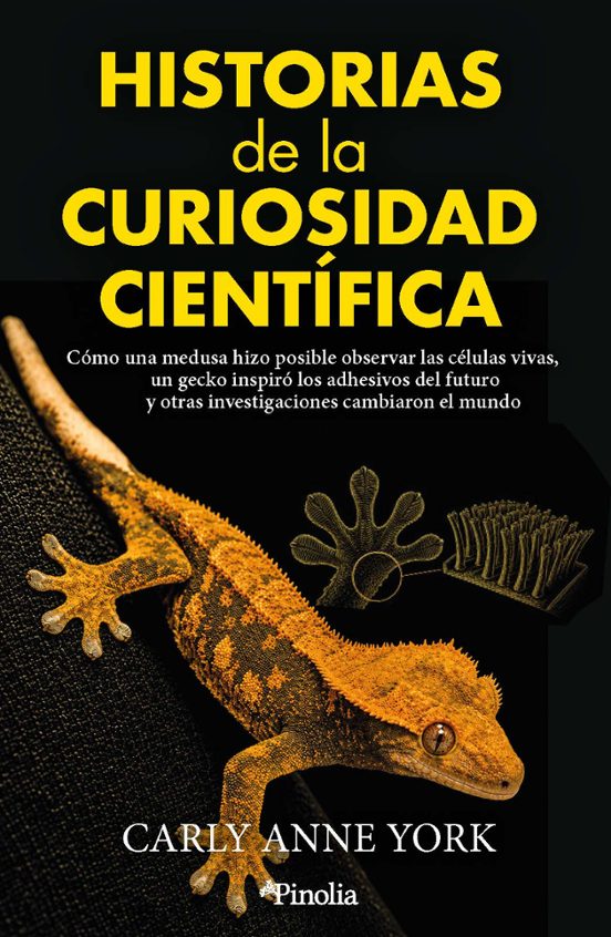 Historias de la curiosidad científica