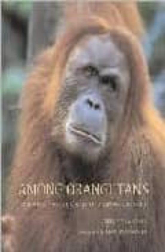 Among Orangutans: Red Apes And The Rise Of Human Culture