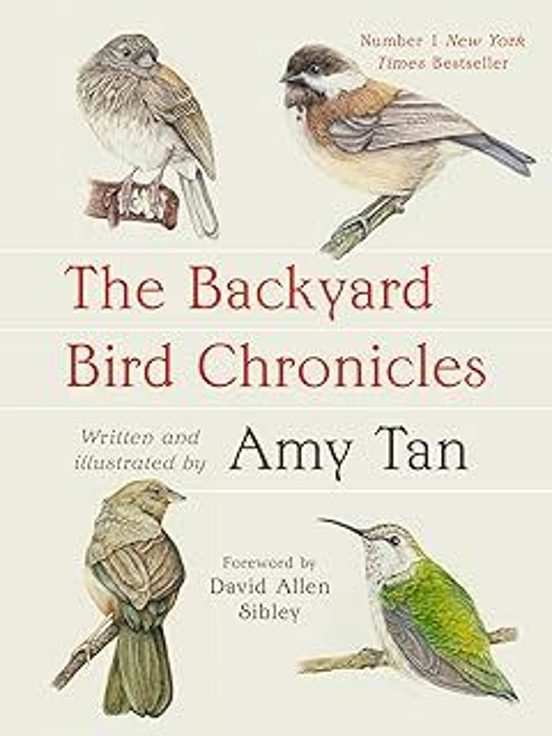 The Backyard Bird Chronicles