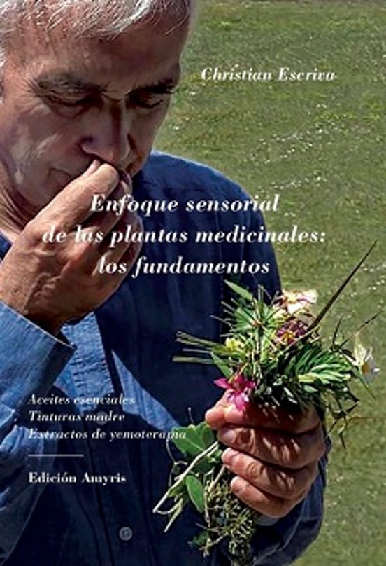 Enfoque Sensorial De Las Plantas Medicinales: Los Fundamentos