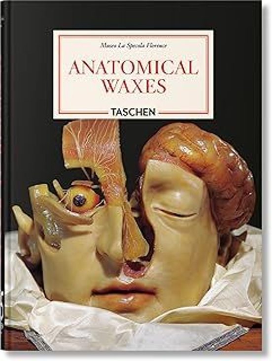Anatomical Waxes. 45th Ed