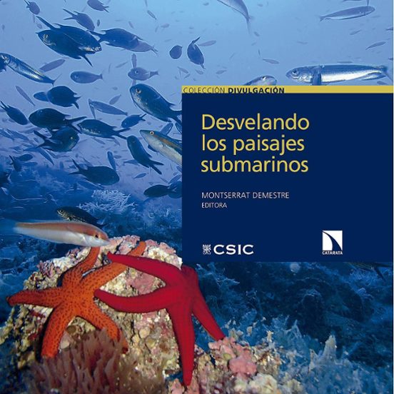 Desvelando Los Paisajes Submarinos