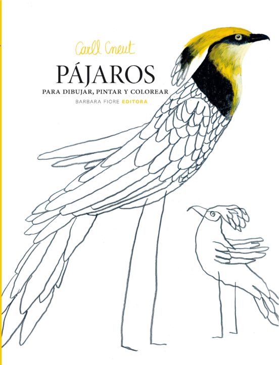 Pájaros