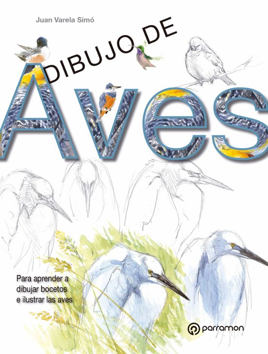 Dibujo De Aves