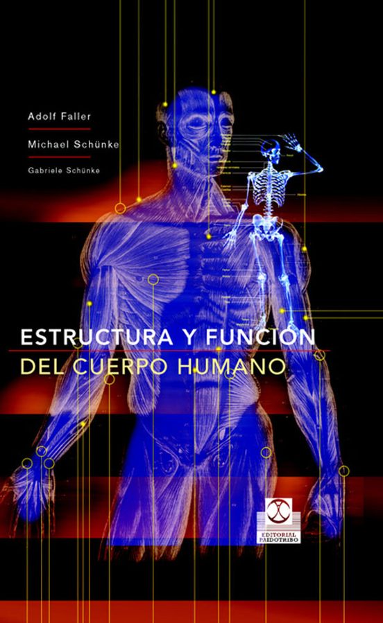 Estructura Y Funcion Del Cuerpo Humano