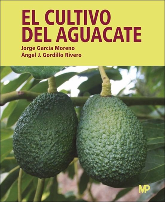 El Cultivo Del Aguacate