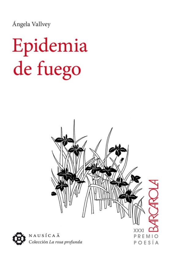 Epidemia De Fuego