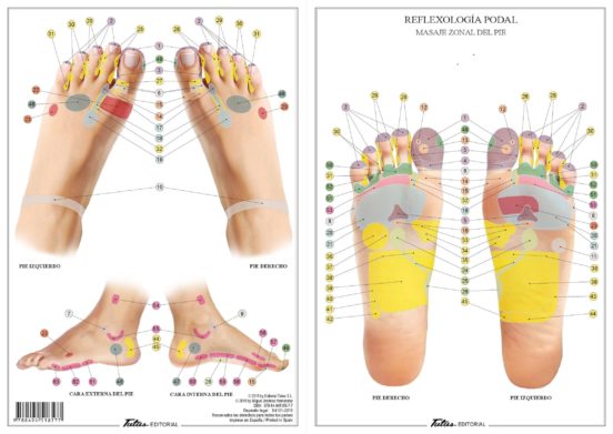 Reflexologia Podal
