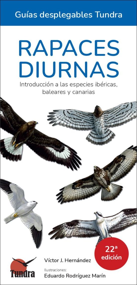 Rapaces Diurnas - Guias Desplegables Tundra