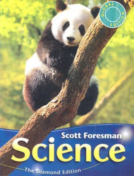 2011 International Edition Student Edition Grade 4