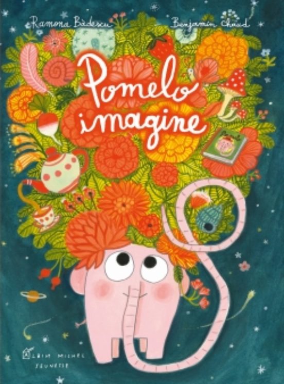 Pomelo Imagine