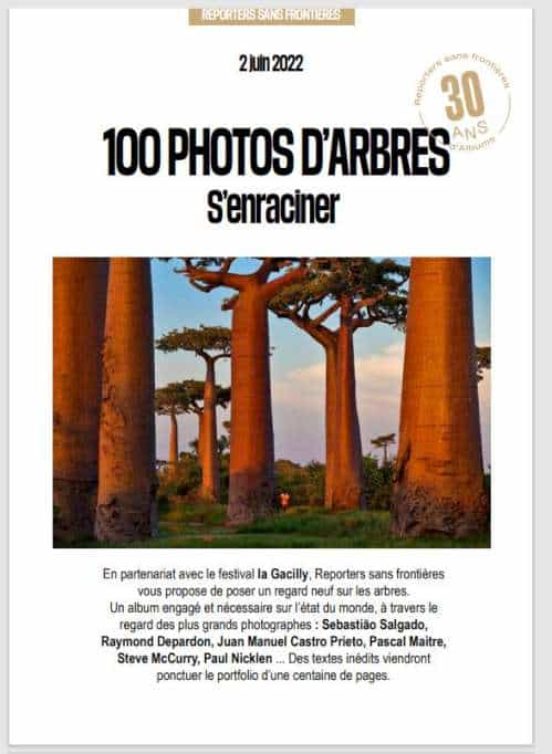 100 Fotos De Arboles Por La Libertad De Prensa