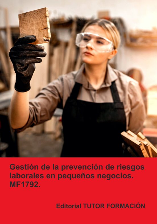 Gestion De La Prevencion De Riesgos Laborales En Pequeños Neg