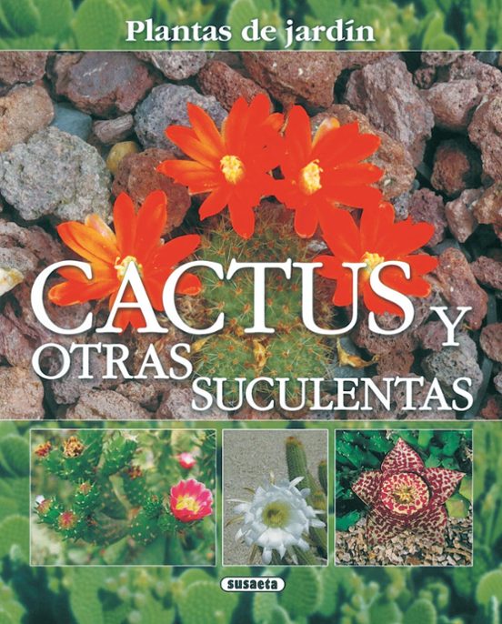 Cactus Y Otras Suculentas