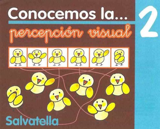 Conocemos La Percepcion Visual 2
