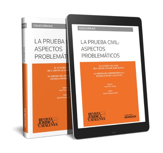 La Prueba Civil: Aspectos Problemáticos