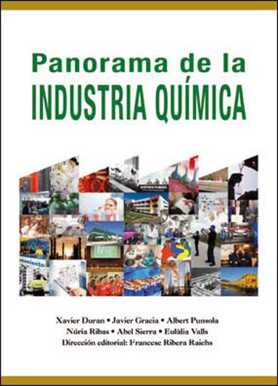 Panorama De La Industria Química