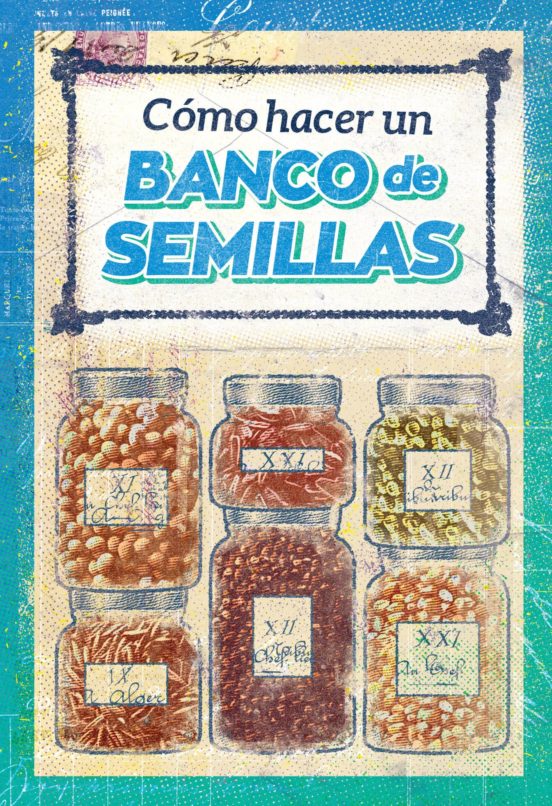 Cómo Hacer Un Banco De Semillas