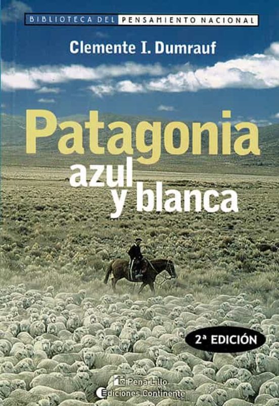 Patagonia Azul Y Blanca