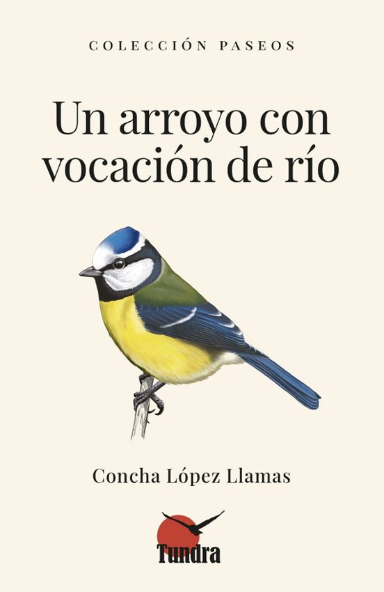 Un Arroyo Con Vocacion De Rio