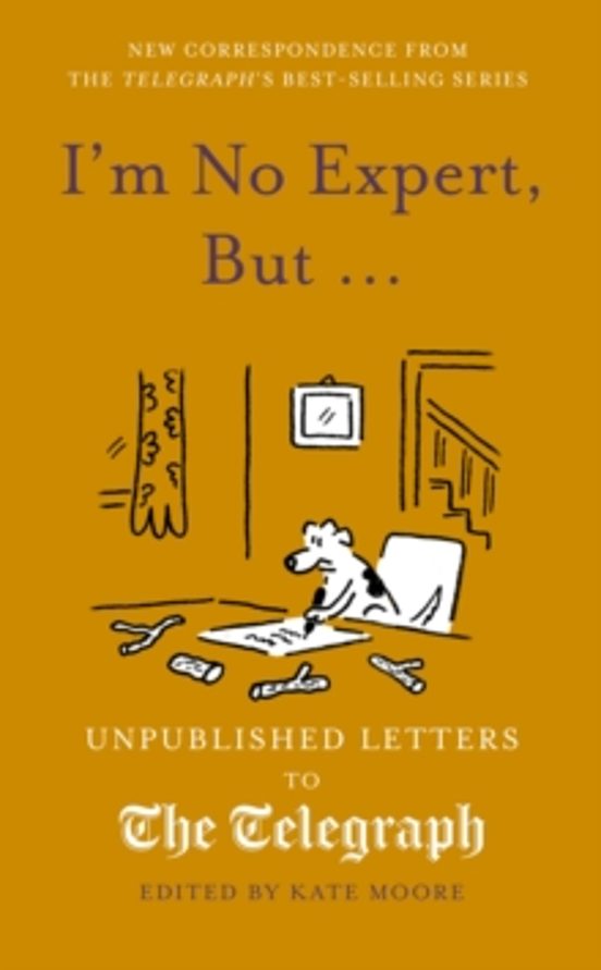 Im No Expert But