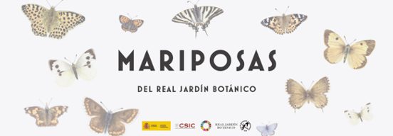 Mariposas Del Real Jardín Botánico