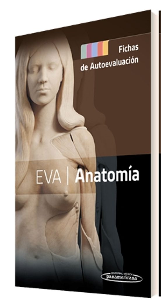 Eva Anatomia. Fichas De Autoevaluacion