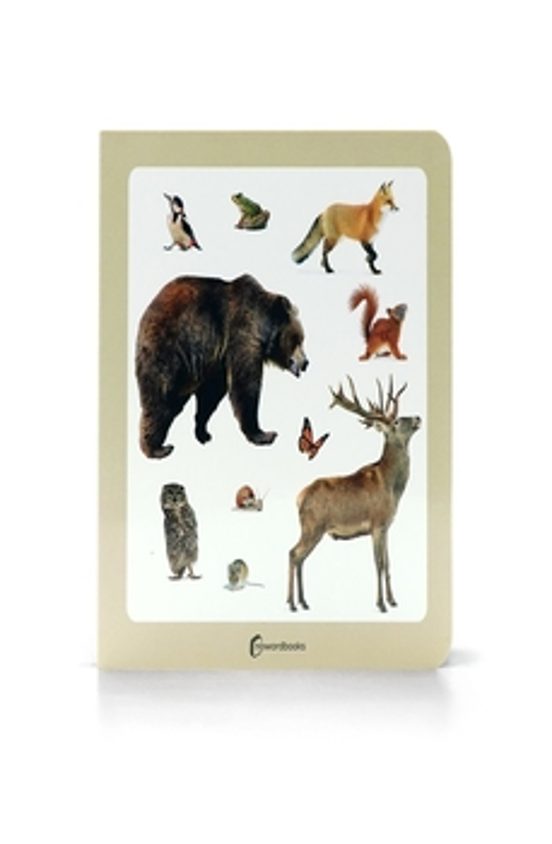 Animales Marinos 3