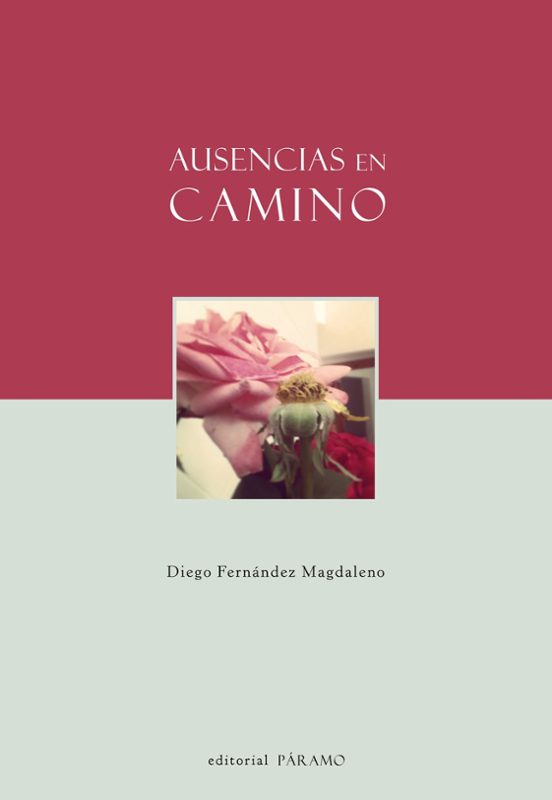 Ausencias En Camino