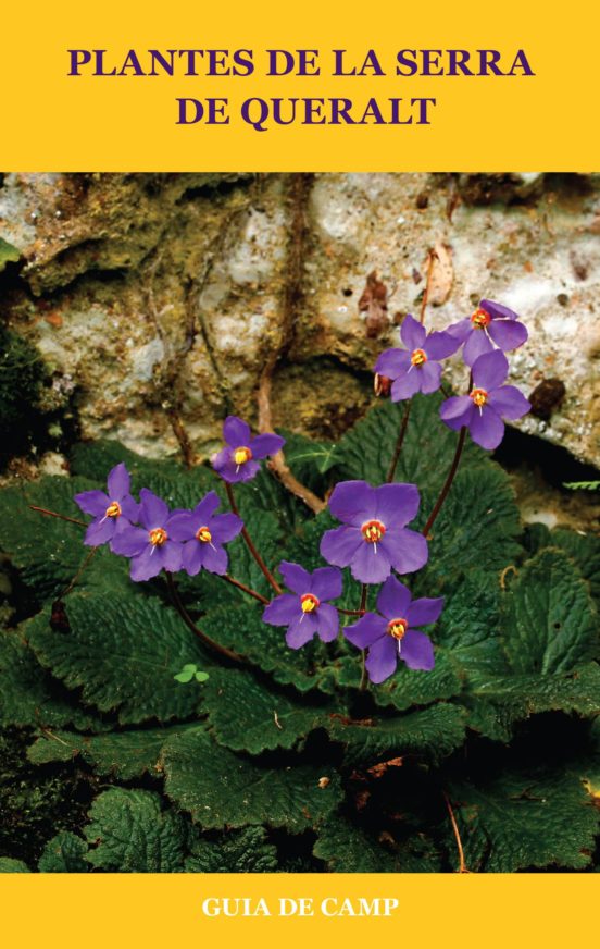 Plantes De La Serra De Queralt: Guia De Camp
