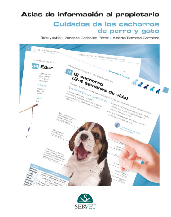Atlas De Información Al Propietario. Cuidados De Los Cachorros De Perro Y Gato