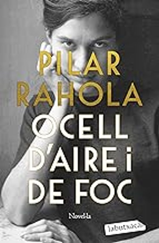 Ocell D'aire I De Foc