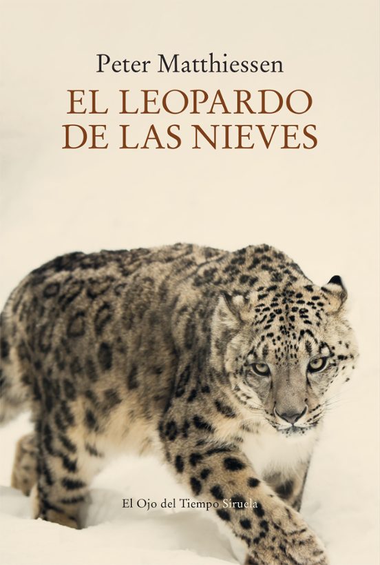 El Leopardo De Las Nieves