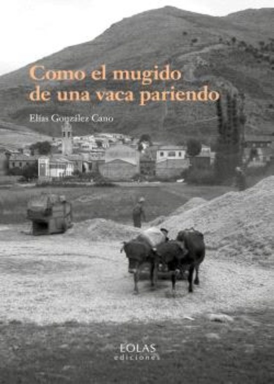 Como El Mugido De Una Vaca Pariendo