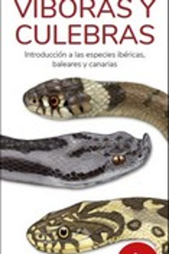 Viboras Y Culebras