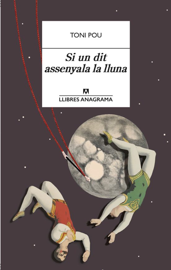 Si Un Dit Assenyala La Lluna
