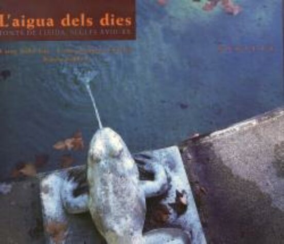 Laigua Dels Dies Fonts De Lleida Segles Xvii-xx