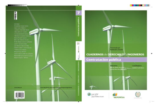 Cuaderno De Derecho Para Ingenieros Vii: Contratacion Publica