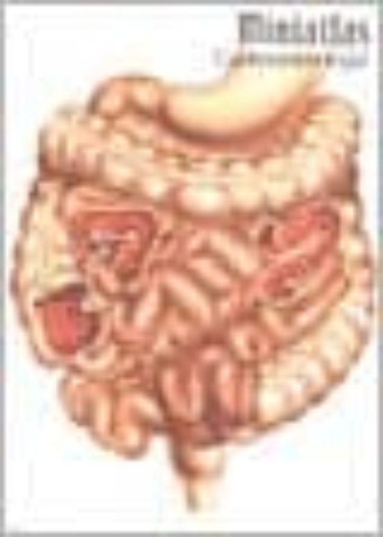 Miniatlas Gastroenterologia