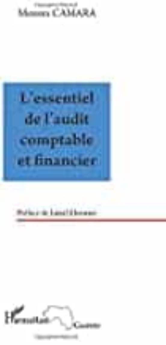 L Essentiel De L Audit Comptable Et Financier