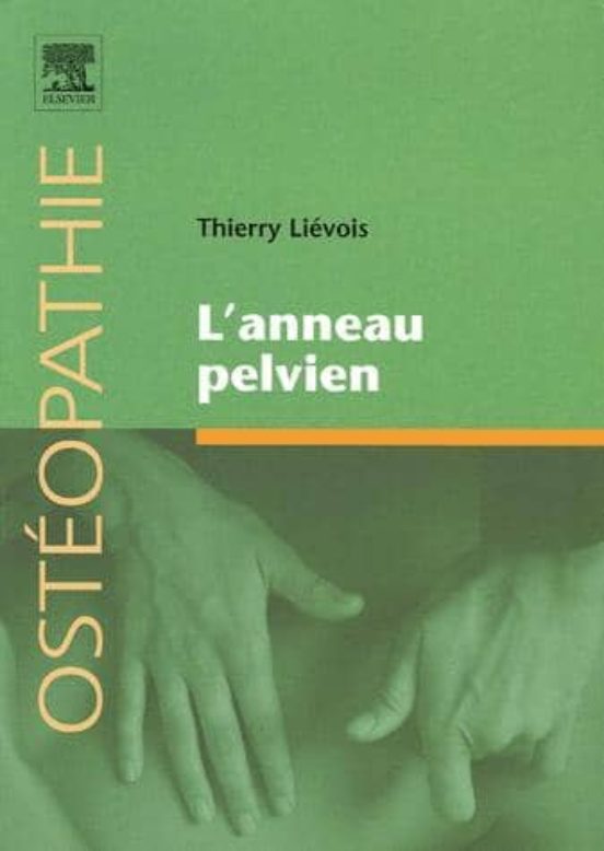 L Anneau Pelvien