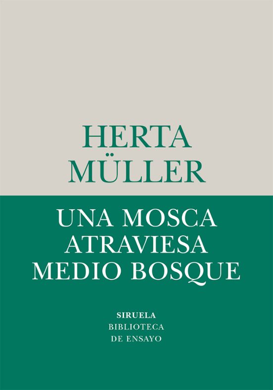 Una Mosca Atraviesa Medio Bosque