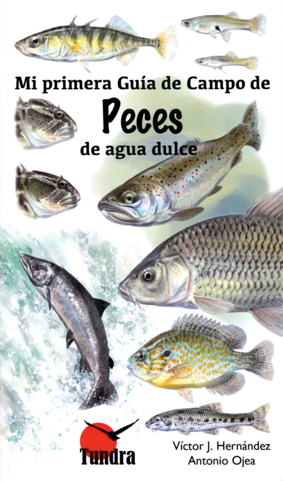 Peces De Agua Dulce: Mi Primera Guia De Campo