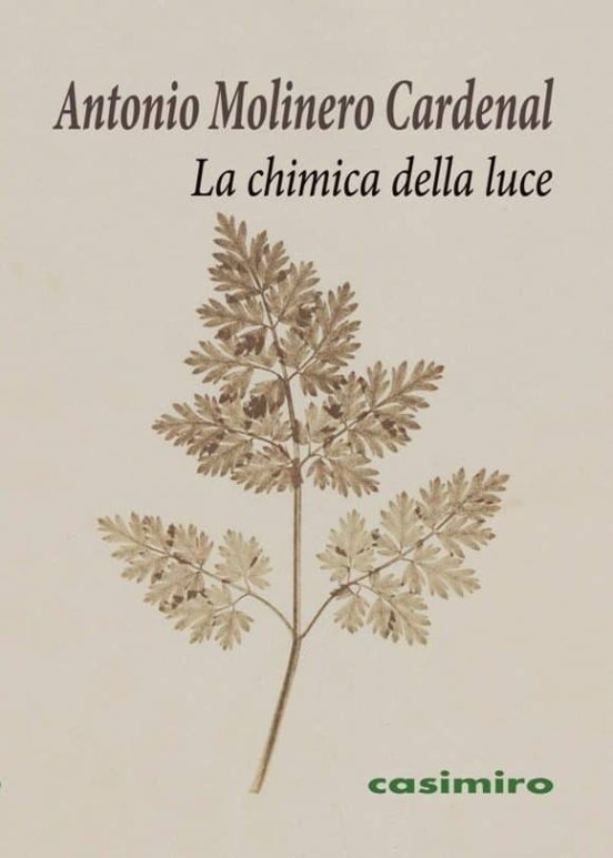La Chimica Della Luce