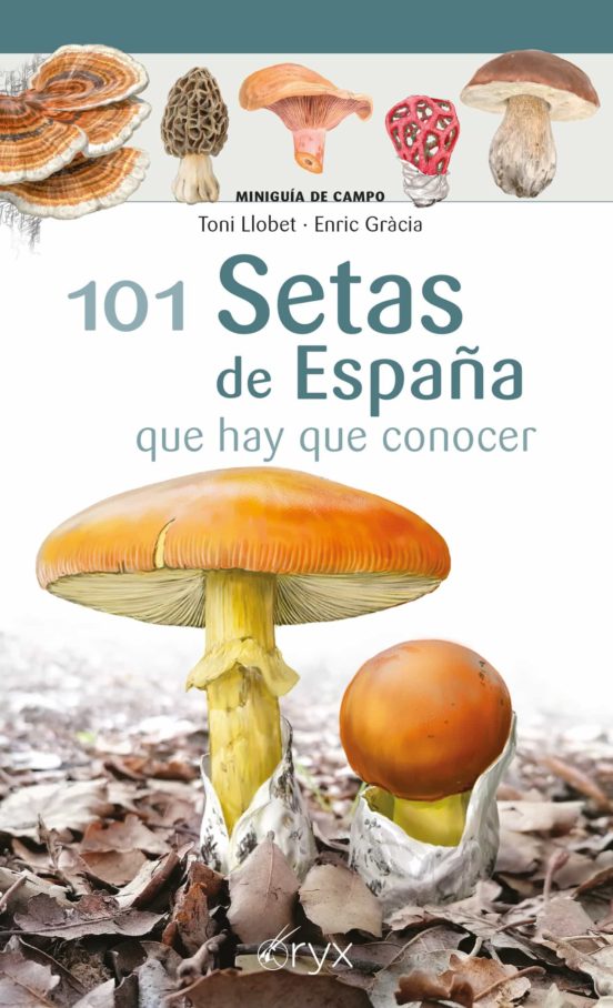 101 Setas De España