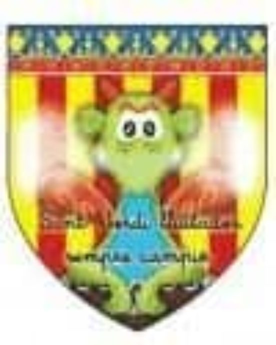 Sant Jordi Lluitador Sempre Campió