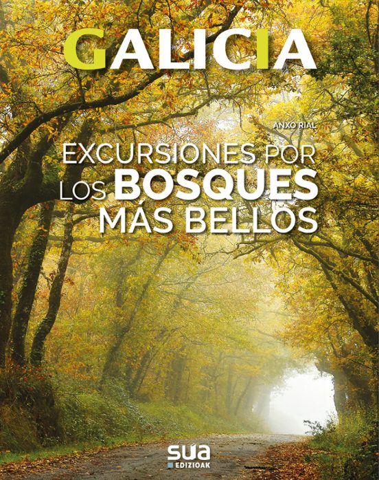 Galicia: Excursiones Por Los Bosques Mas Bellos