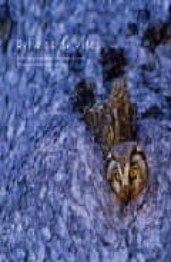Reflejos De Vida: El Libro De Los Fotografos De Naturaleza De Ara Gon